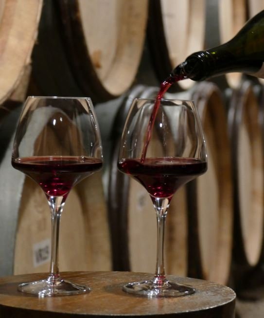 DOMAINE RENÉ CACHEUX ET FILS