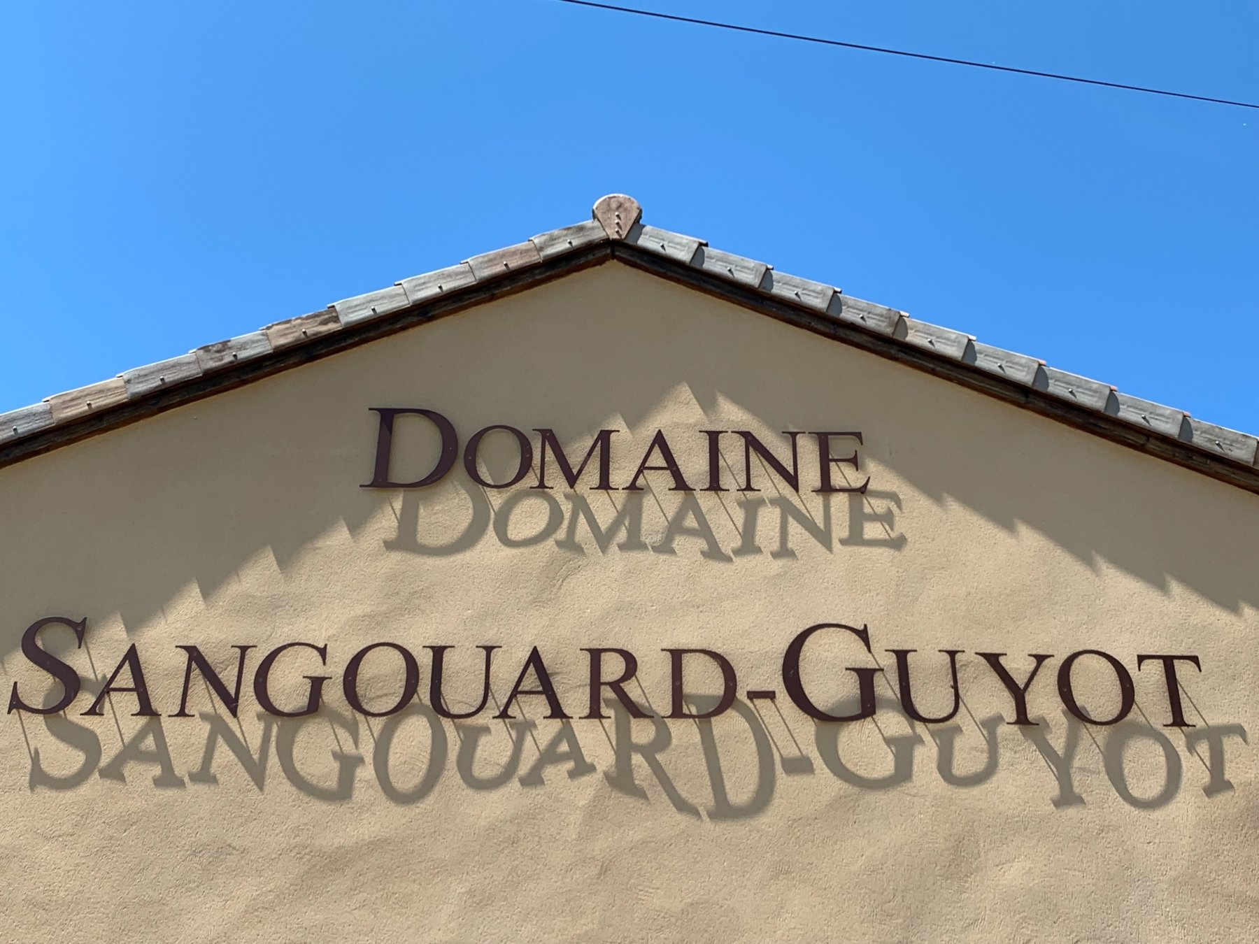 DOMAINE SANGOUARD-GUYOT
