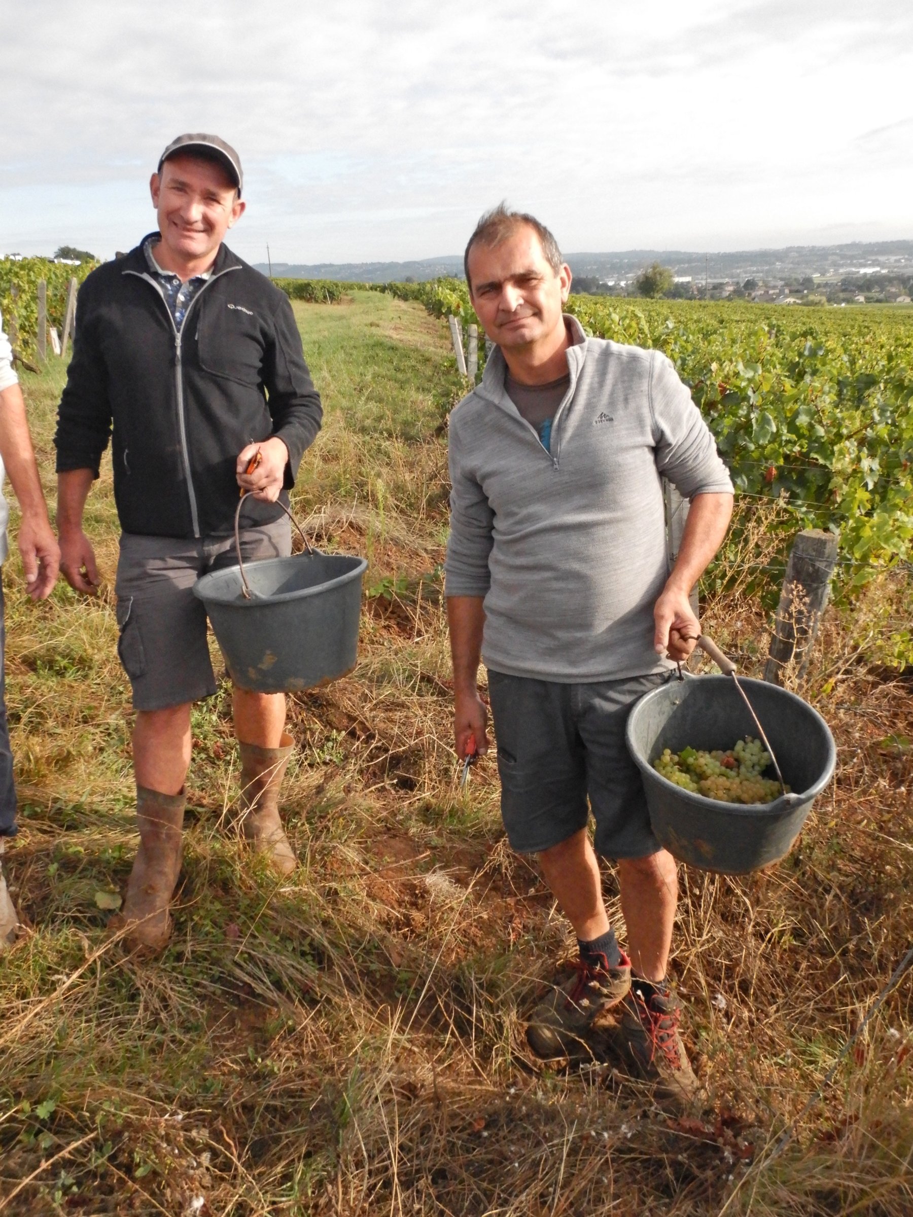 DOMAINE DE LA CROIX SENAILLET