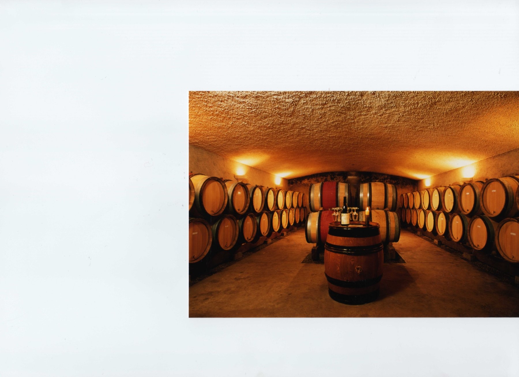 DOMAINE RENÉ LEQUIN COLIN